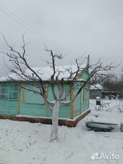 Обрезка деревьев