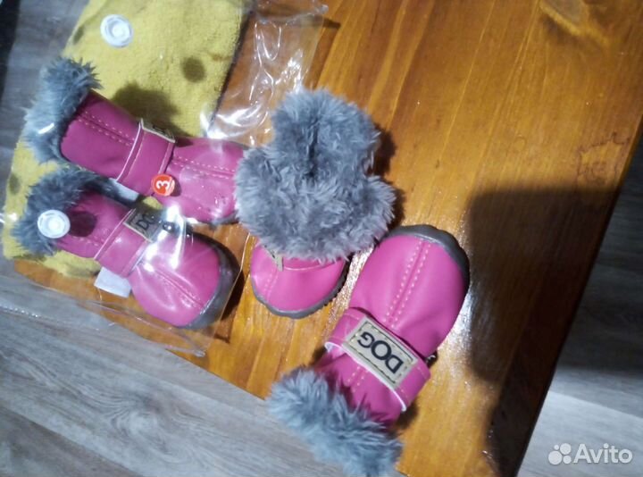 Ботиночки для собак мелких пород