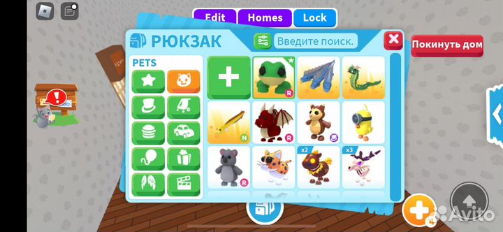 Петы адопт ми