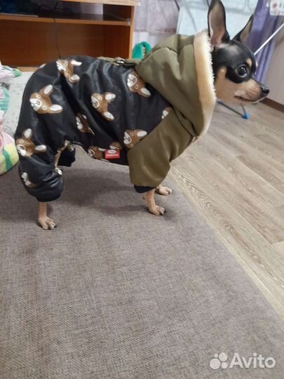 Комбинезон для маленькой собаки. зима