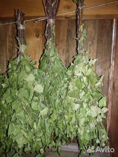 Веники берёзовые