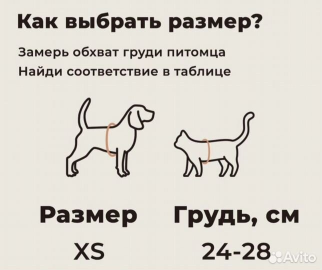 Шлейка для собак и кошек анатомическая