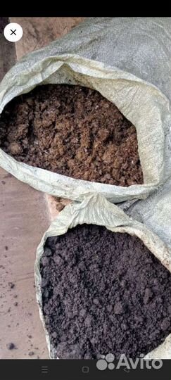 Конский навоз чернозём