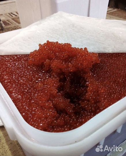Икра красная кижуч