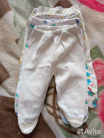 Отдам бесплатно