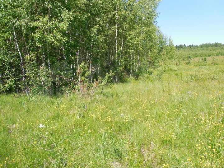 Участок 16 сот. (ИЖС)