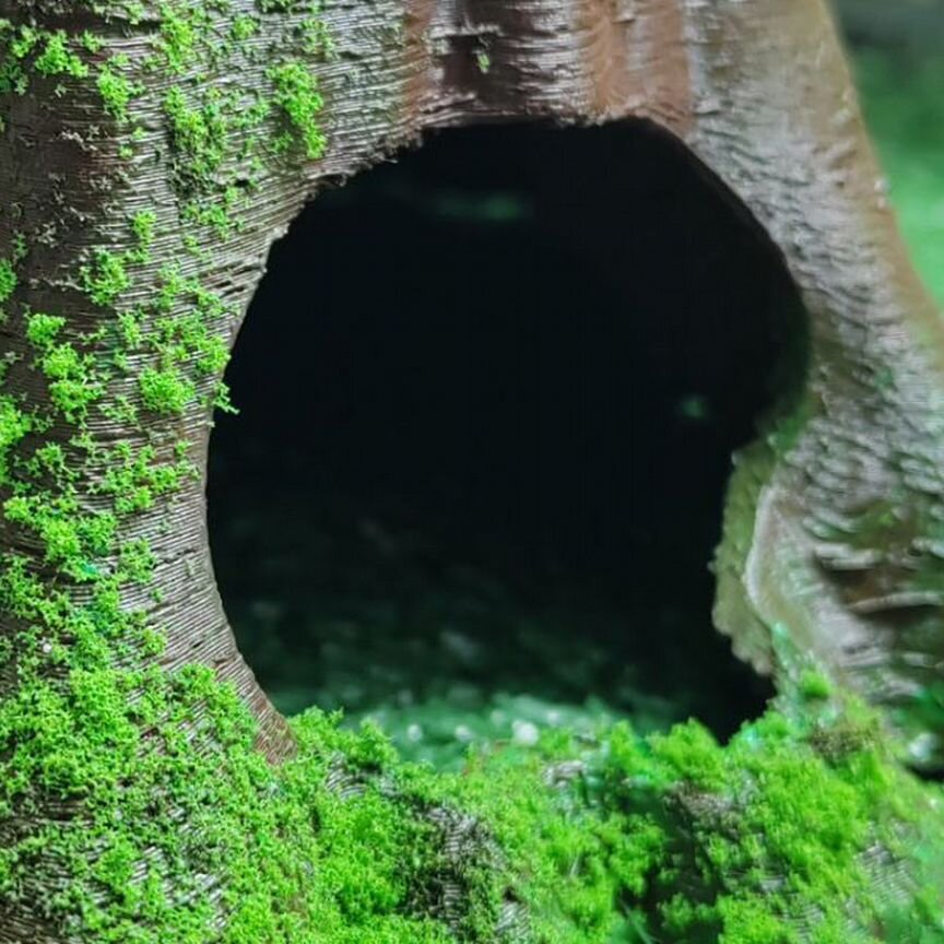 Укрытия, влажная камера, кормушки