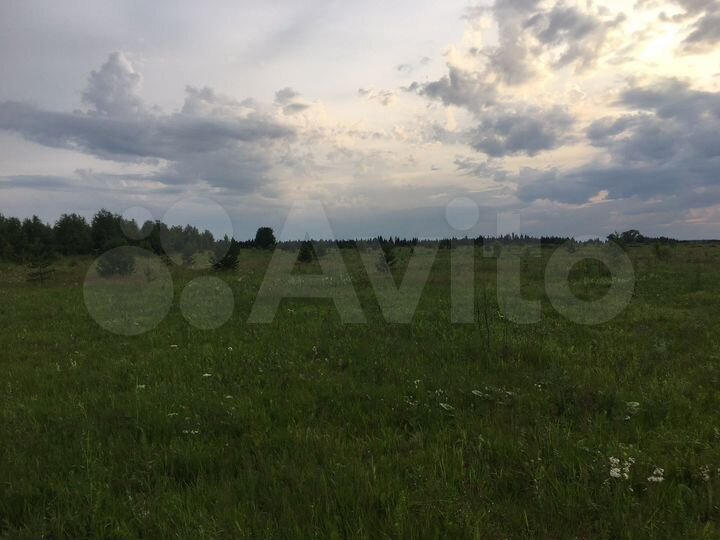 Участок 1,3 га (СНТ, ДНП)