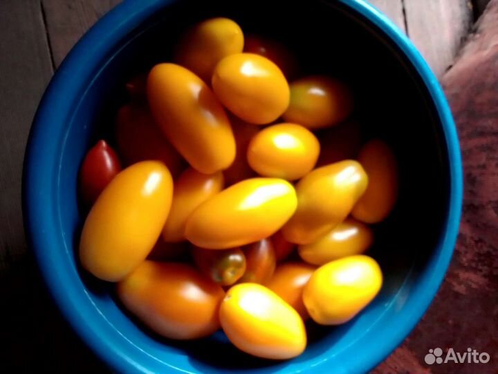 Помидоры сладкие вкусные