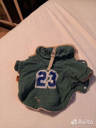 Вещи для не больших собак