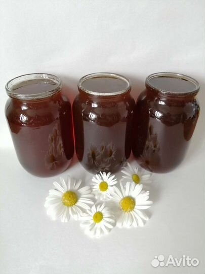 Мёд Гречишный с Алтая 2023