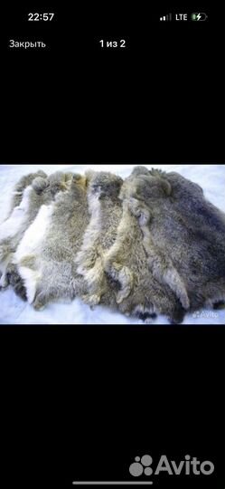 Шкурка животного