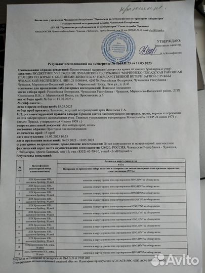 Бройлеры росс-308