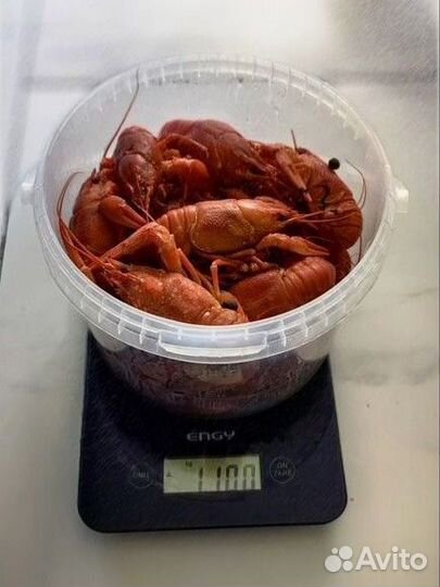 Вареные раки по фирменному рецепту