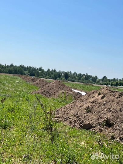 Грунт для газона