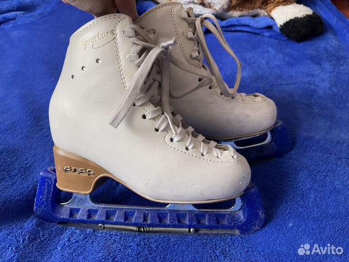 Фигурные коньки edea overture 200