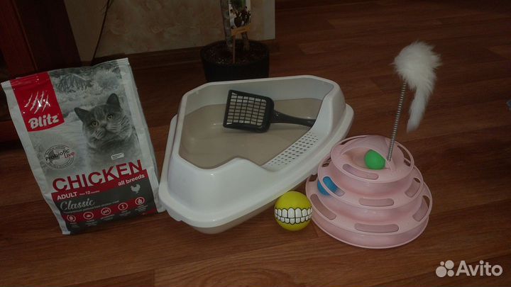 Комплект для кошек