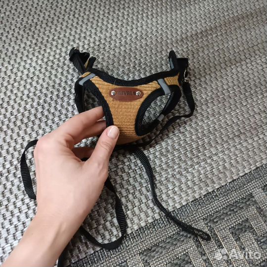 Шлейка Saival для маленькой собаки/кошки