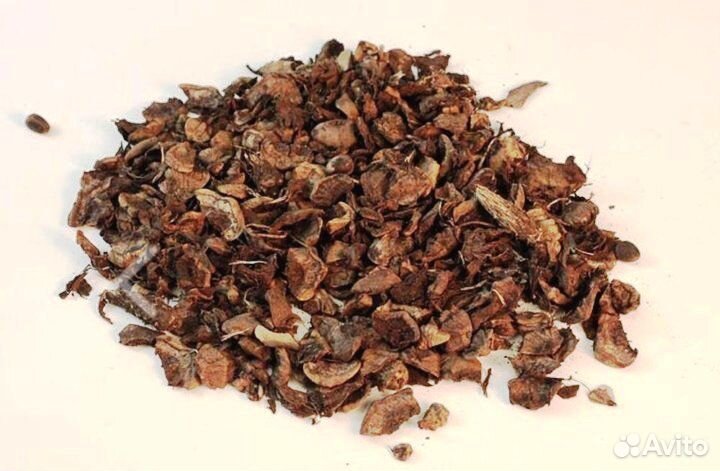 Шелуха кедровой шишки