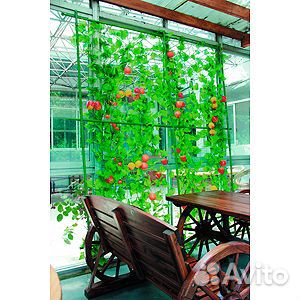 Комплект для вьющихся растений сборный 0,6*1,8м