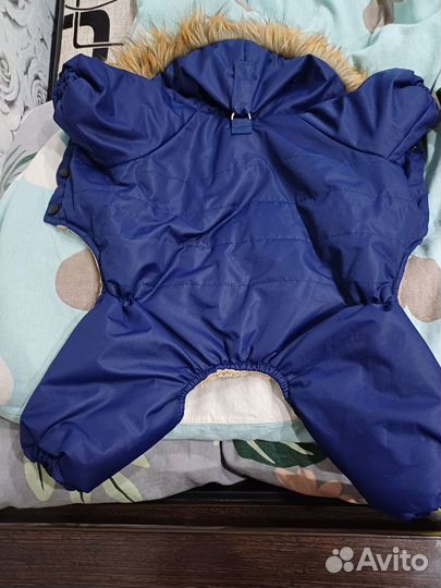 Зимний комбинезон для собаки