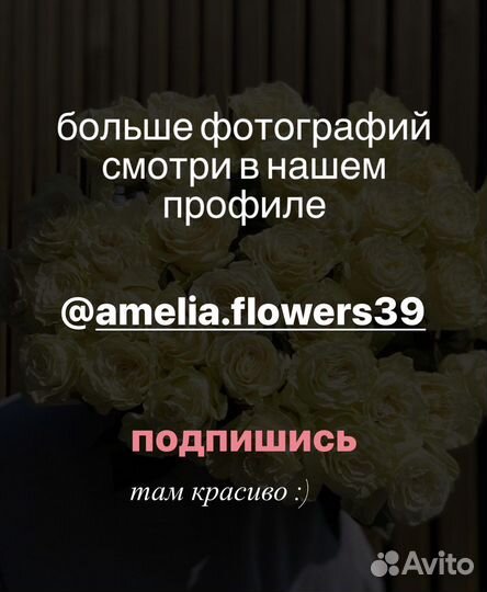 Букет из ярких гипсофил