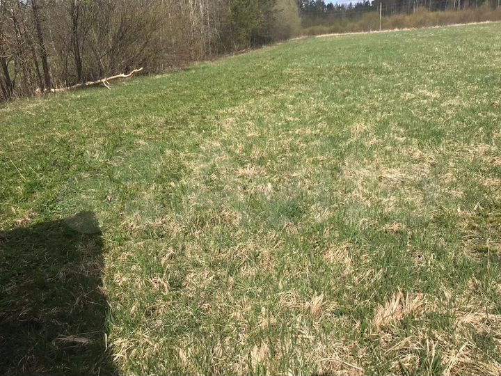 Участок 3,6 га (ИЖС)