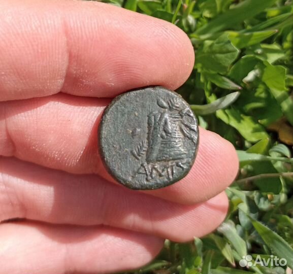 Монета Амис