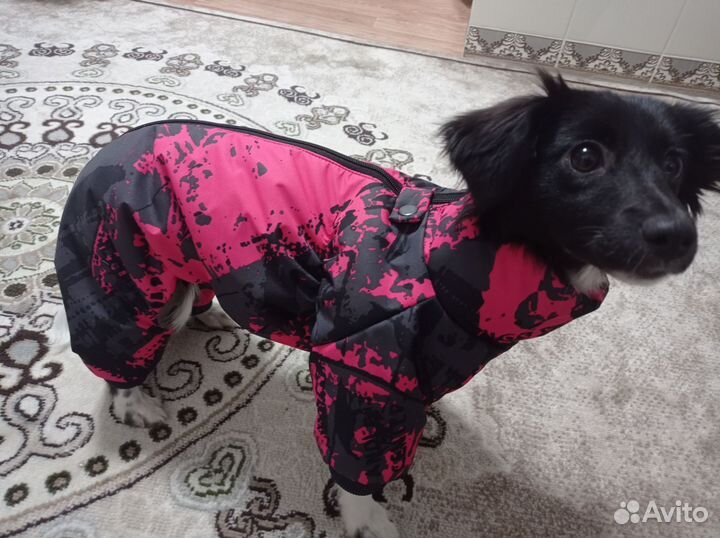 Одежда для больших и средних собак