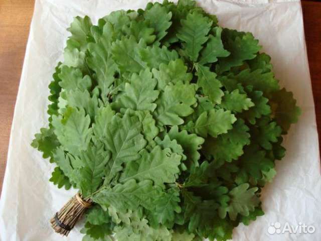 Дубовые веники для бани