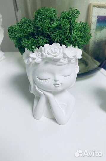 Кашпо ручной работы + мох живой