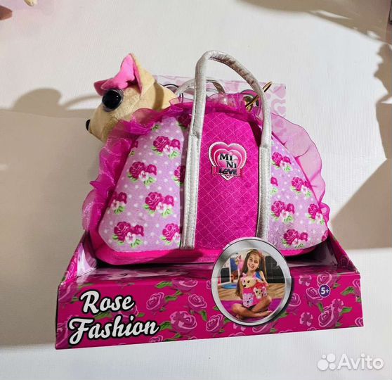 Собачка чичилав chi chi love