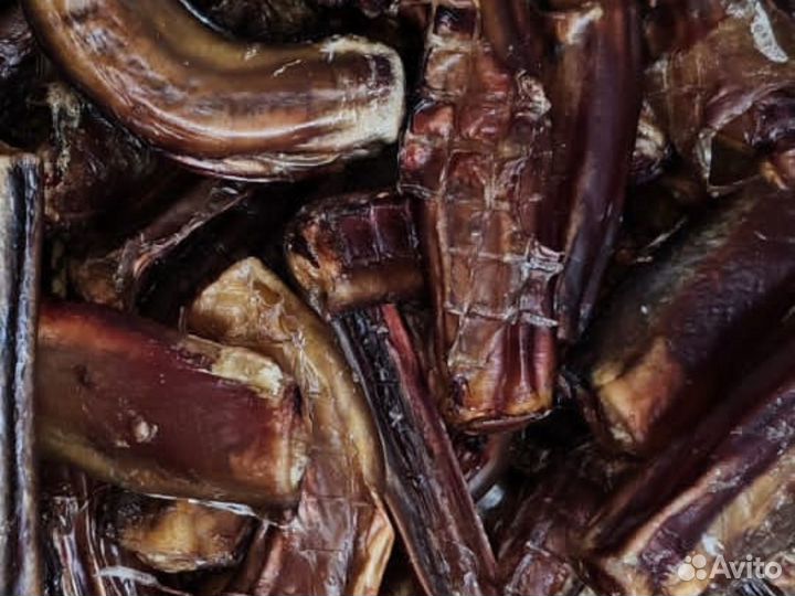 Сушёные лакомства для собак оптом