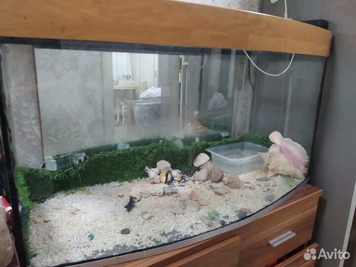 Аквариум
