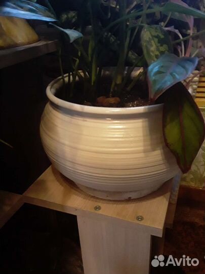 Большой горшок с поддоном
