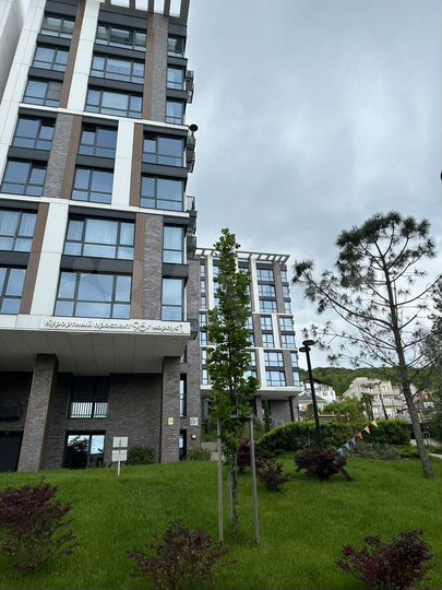 Своб. планировка, 31,5 м², 3/9 эт.