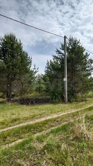 Участок 10 сот. (СНТ, ДНП)