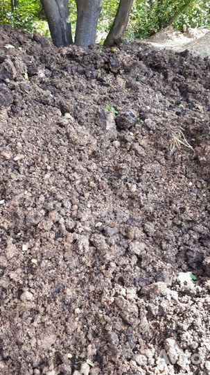 Доставка коровьего перегноя