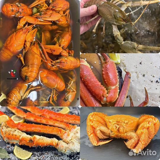 Живые раки средней градации, доставка
