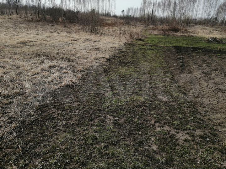 Участок 6 га (СНТ, ДНП)