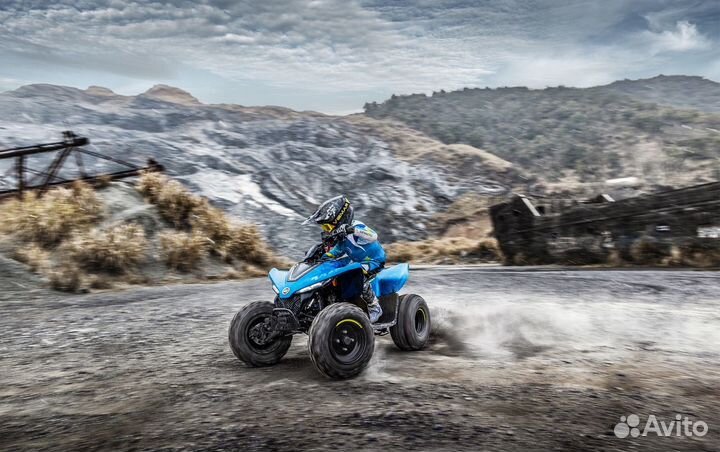 Cfmoto cforce 110 EFI