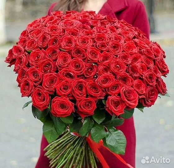Букет роз 101 роза 51 роза