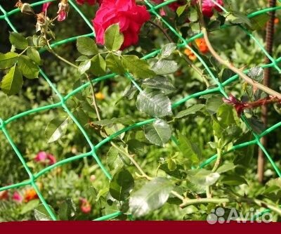 Сетка пластик хаки 90*90 на 1800 метра