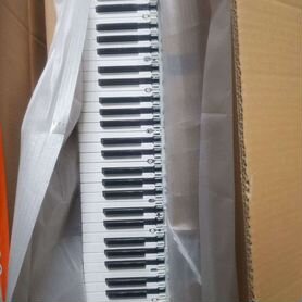 Casio CDP-120 10399791 keyboard TK-RJM511279*001