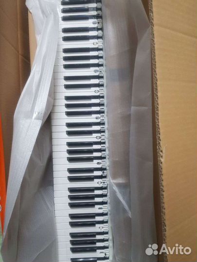 Casio CDP-120 10399791 keyboard TK-RJM511279*001