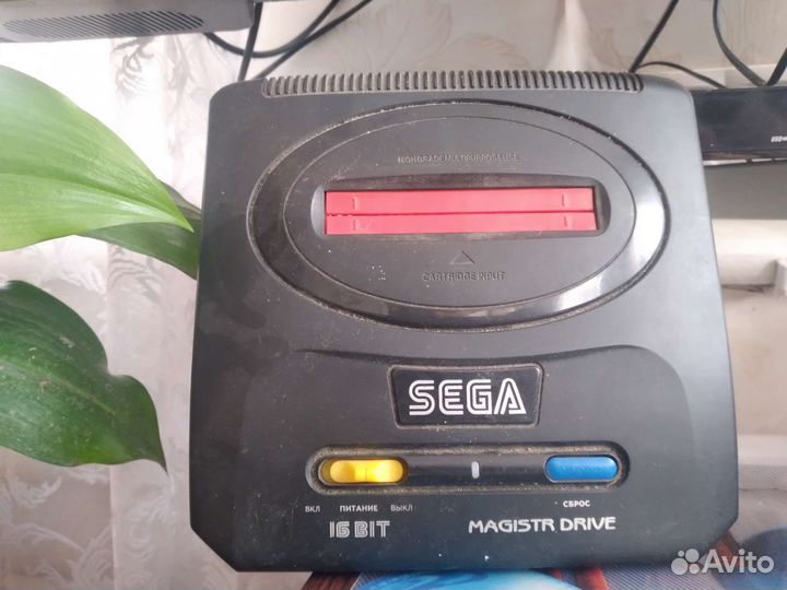 Sega