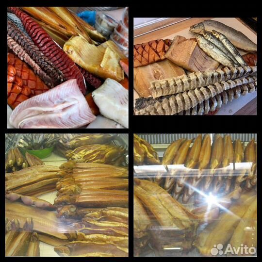 Северная рыба