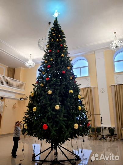 Огромная Елка для центральной площади