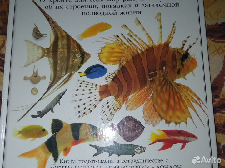 Животный Мир. Серия 