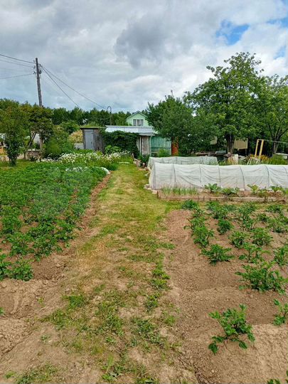 Участок 8,8 сот. (СНТ, ДНП)